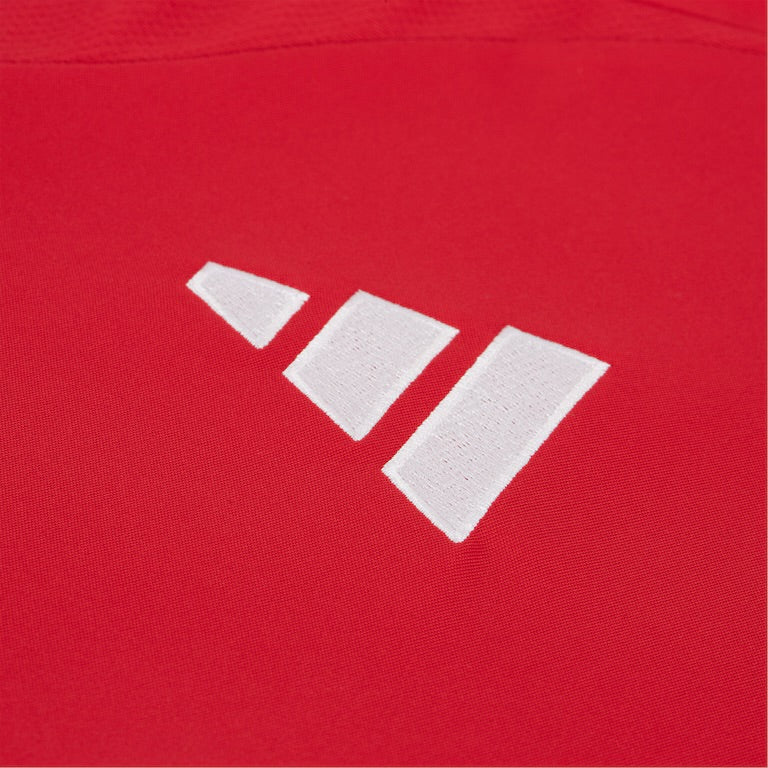 Camisa Manchester United 2024/25 Torcedor Masculina Lançamento
