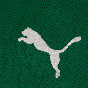 Camisa do Palmeiras 25/26 Puma Torcedor Feminina